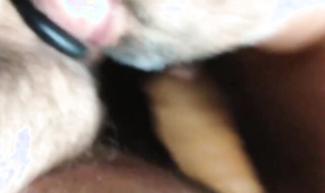 Supah hirsute Trucker Plower