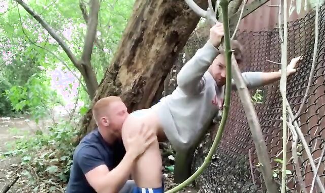 pair Cruising Sphere