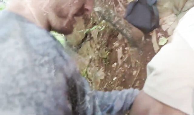 plowed Rock-Hard unprotected