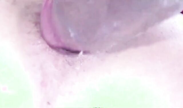 The Andy Starlet Bevy