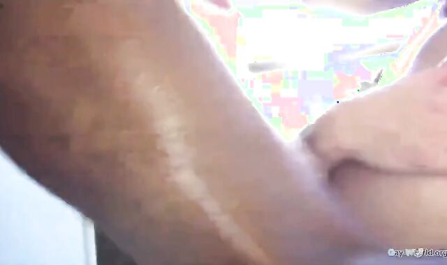 The Andy Starlet Bevy