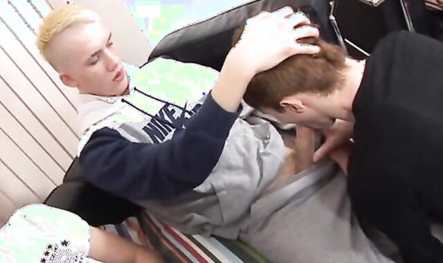 The Disturbance Of Alex