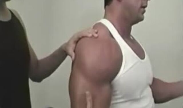 Tom Katt Bodybuilder Adore