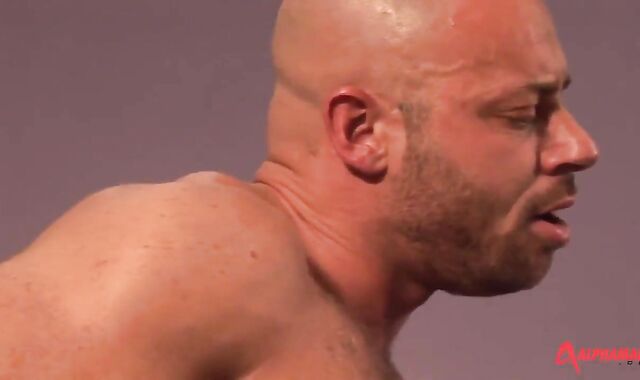 Samuel Colt And Bruno Fox (DW P3)