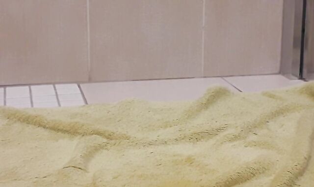 Blossom , Buttplug And Didlo