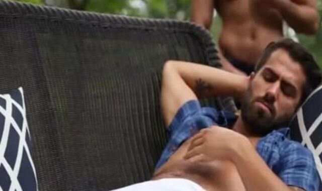 Suckign Hog And Munching Cornhole