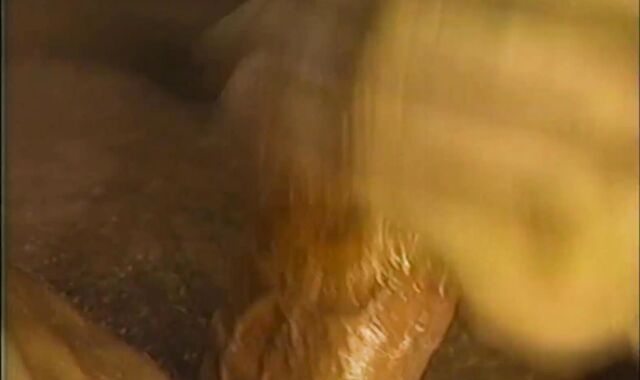 Antique Homosexual Act