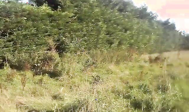 FLESHLIGHT At HAY BALES And BULGE