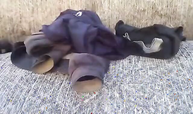 FLESHLIGHT At HAY BALES And BULGE