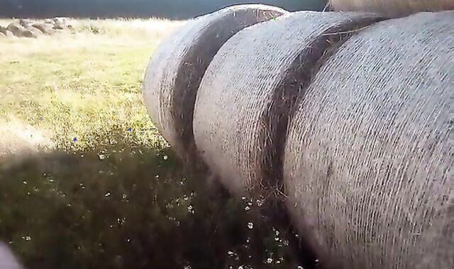 FLESHLIGHT At HAY BALES And BULGE