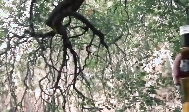 Crussing legitimate age nubiles