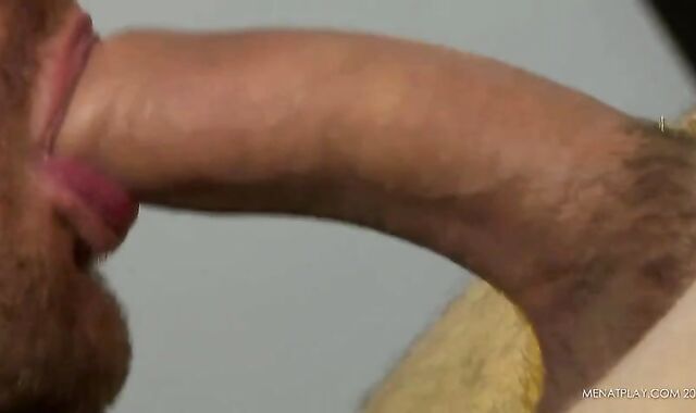 Supply Me To Seduction