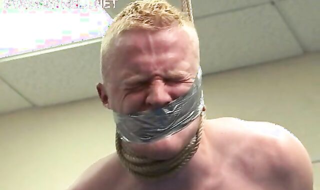 Dumb, hetero And Fascist