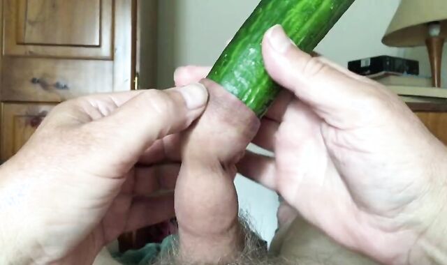 Foreskin Cucumber Sunday - five Of nine