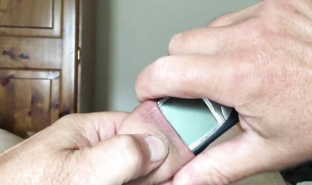 Foreskin Cucumber Sunday - five Of nine