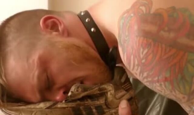 Blue Collars W sir Aaron & AJ Alexander