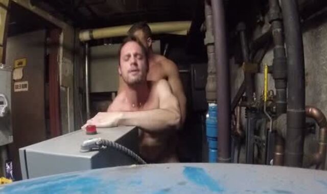 romping Drake In Dungeon