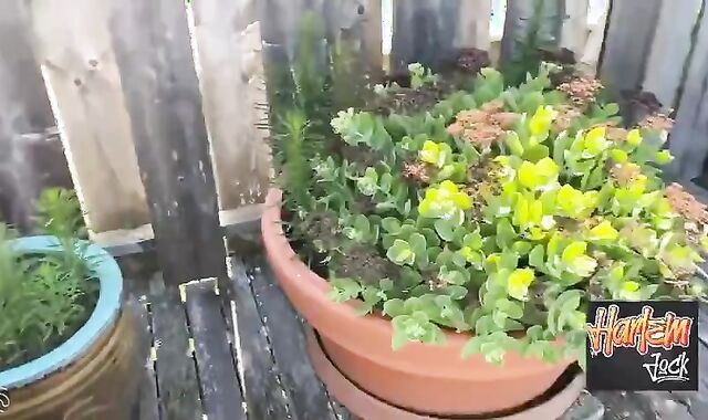 Poolside With Pablo Strokess