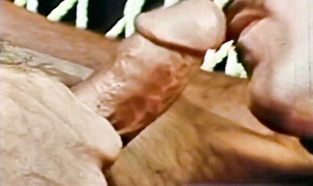 Chunks Of Eight (1980) Part 1 Desert Fox