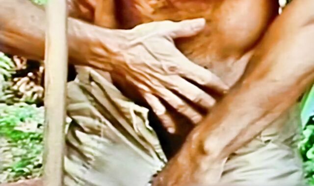 Chunks Of Eight (1980) Part 1 Desert Fox