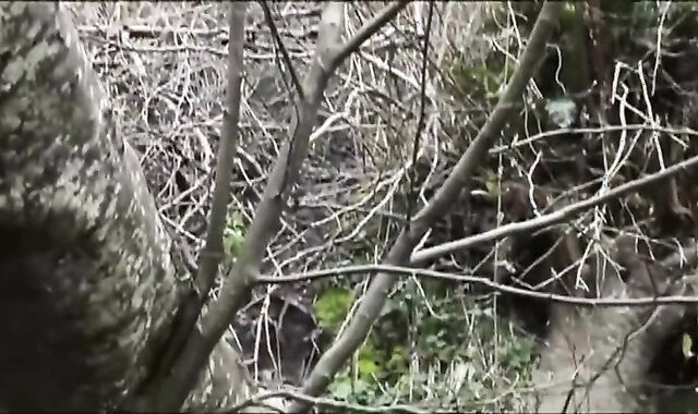 BRF Strokes Off In suit