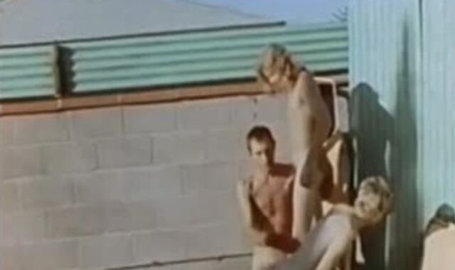 The Light From The 2Nd Story Window (1973) Finish vid