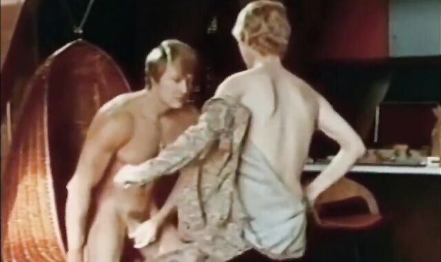 The Light From The 2Nd Story Window (1973) Finish vid