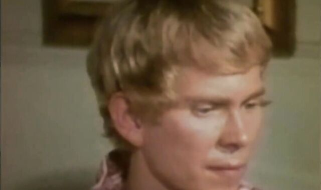 The Light From The 2Nd Story Window (1973) Finish vid