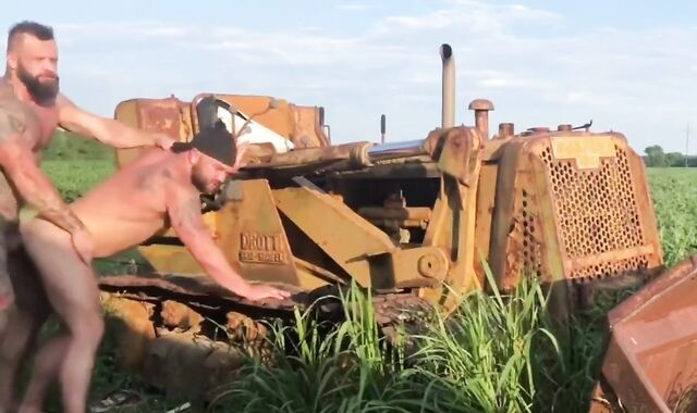 brawny Teddies Have Hump In The Pubic Hair