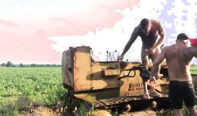 brawny Teddies Have Hump In The Pubic Hair