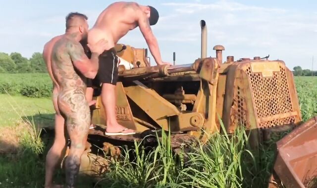 brawny Teddies Have Hump In The Pubic Hair