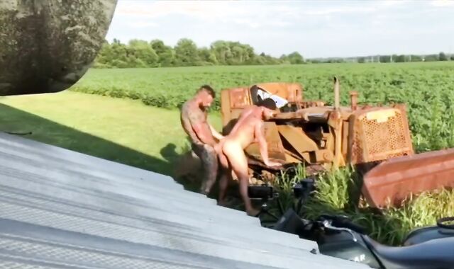 brawny Teddies Have Hump In The Pubic Hair