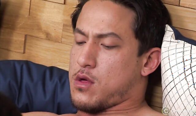 Ledger & Carmine (Serviced)