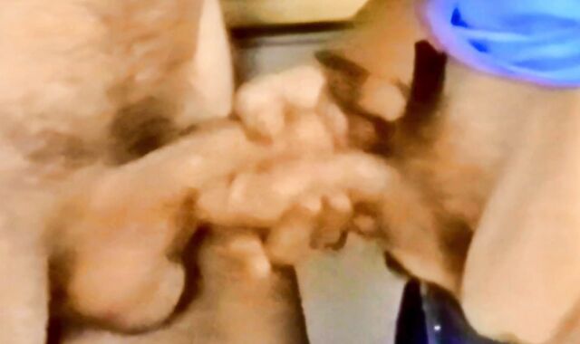 Made To Order (1982) Part two - Cell youngster