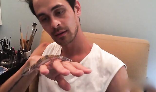 Meet The Morecocks The Jake Bass Practice