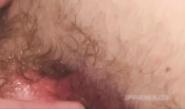 smutty sleazy impure PIGS