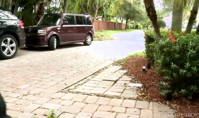 supplementary phat dongs boinking The Delivery chap