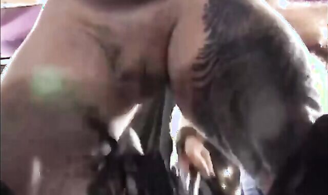 Conversation With A dom