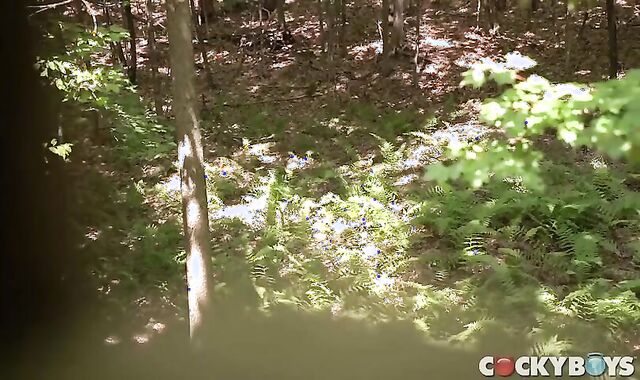 ravage And Breeding In The Forest