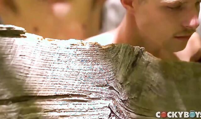 ravage And Breeding In The Forest