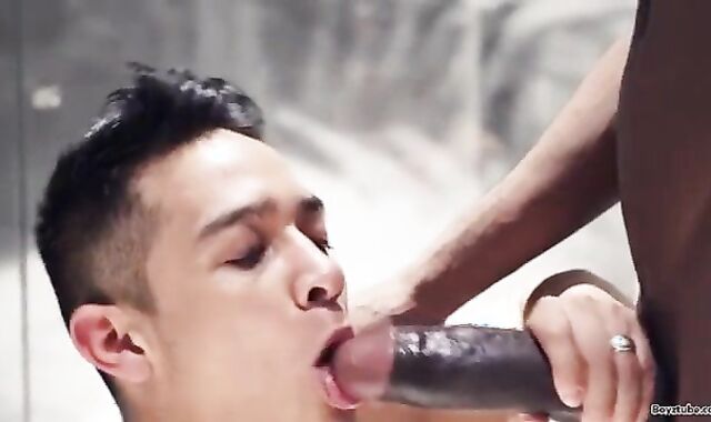 BIG BLACK COCK wet Multiracial