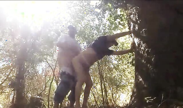 Je Suce Et Me Fait Enculer Dehors