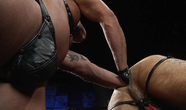 gigantic Bad Grizzly Sequence 01