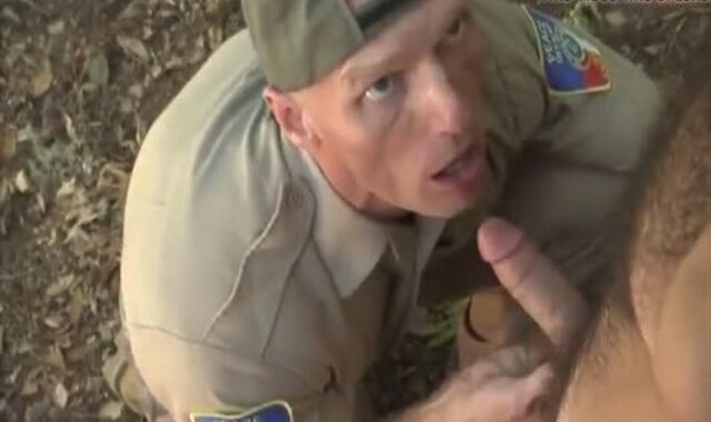 Outdoor wooly absorb & plumb