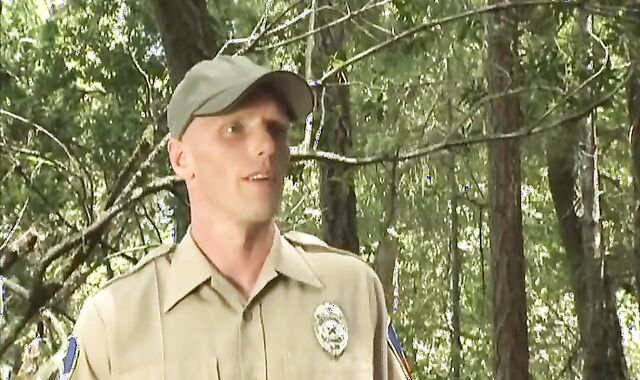 Outdoor wooly absorb & plumb