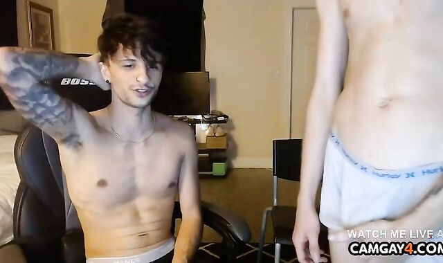 two youthfull boyz Touching Their rods