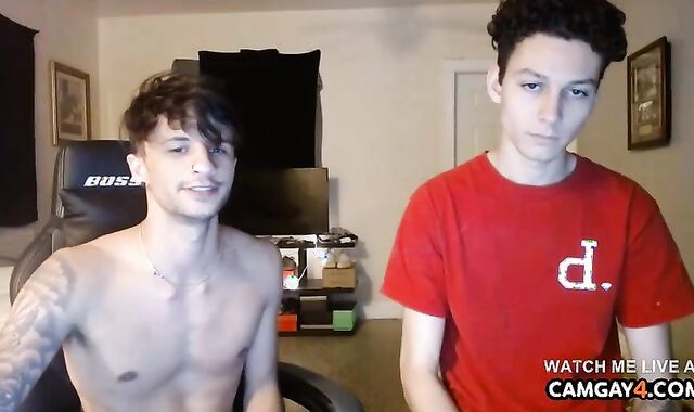 two youthfull boyz Touching Their rods