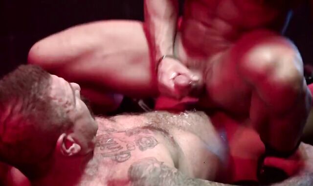 Aaner - vigour boink In Bar