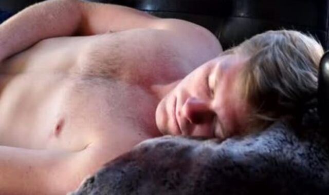 Resting Stud Milky Cutoffs