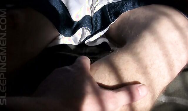 Resting Stud Milky Cutoffs